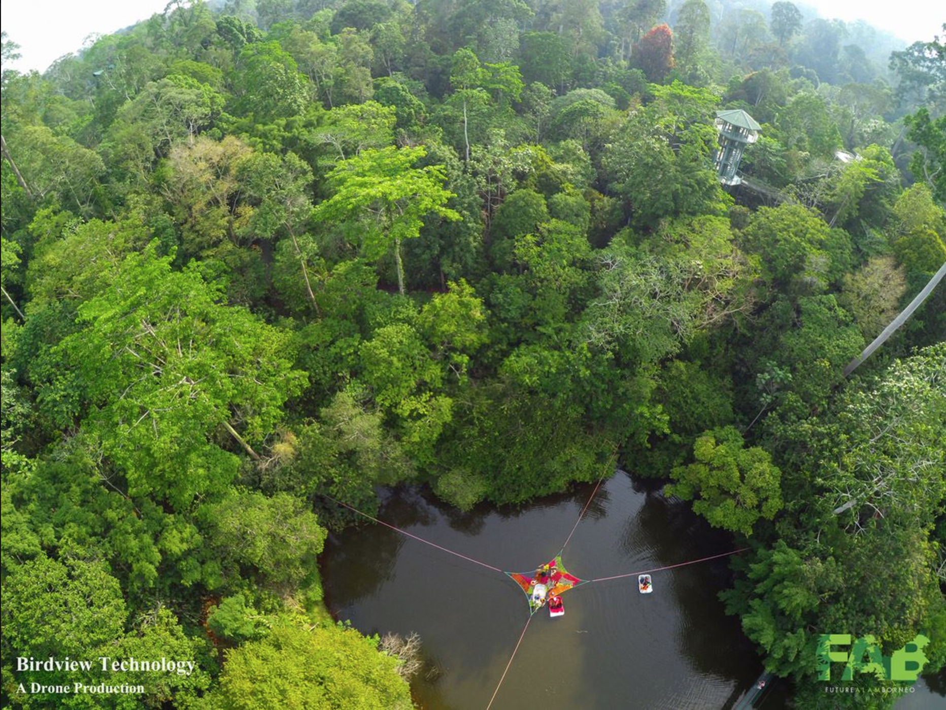 Screen Shot 2017-05-17 at 4.22.45 PM